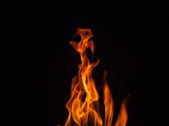 How much Energy is in a Cheeto?